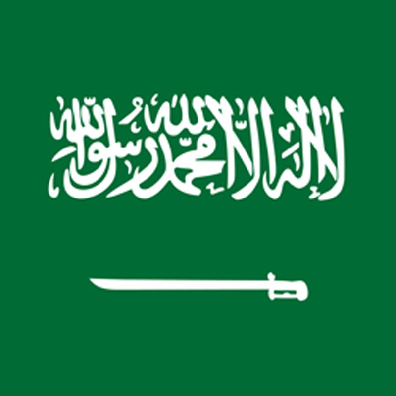 المتجر السعودي